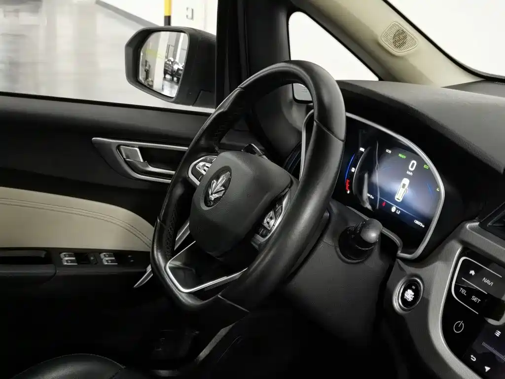 Ruilan Auto Maple 30X 2020 2020 Elegance Edition