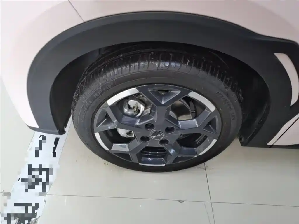 BYD Seagull 2025 305km Freedom фото 23