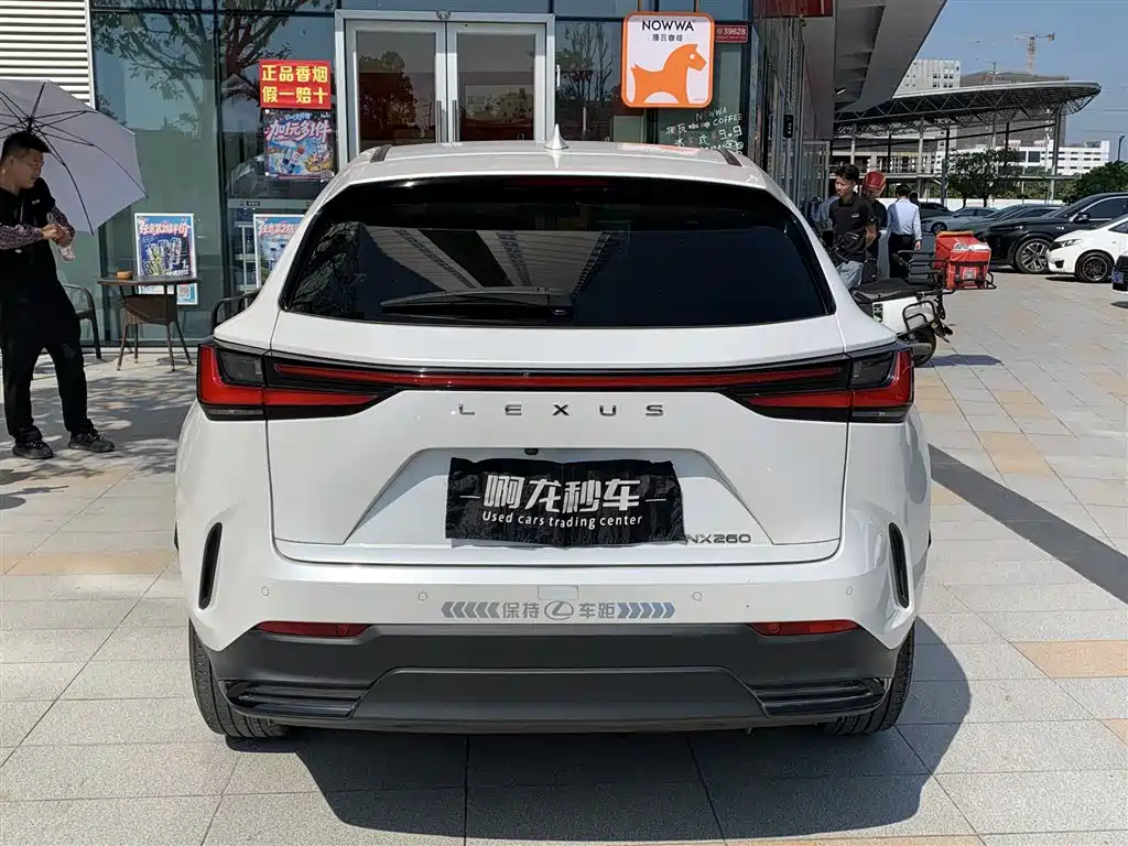 Lexus NX 2023 2022 260 FWD Joy Creation Edition
