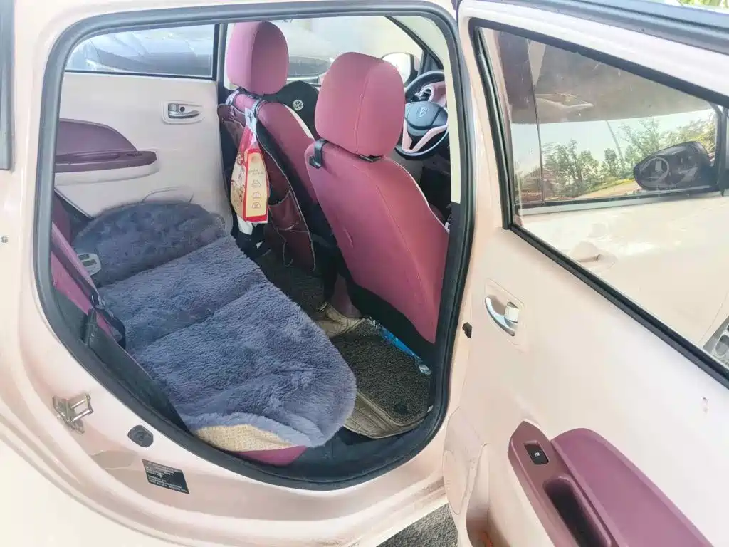 Changan Benben E-Star 2022 2021 National Edition Colorful Version LFP (31.86kWh)
