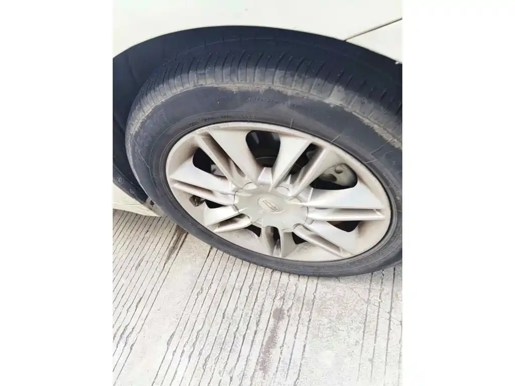 Фото 7 - Geely Borui