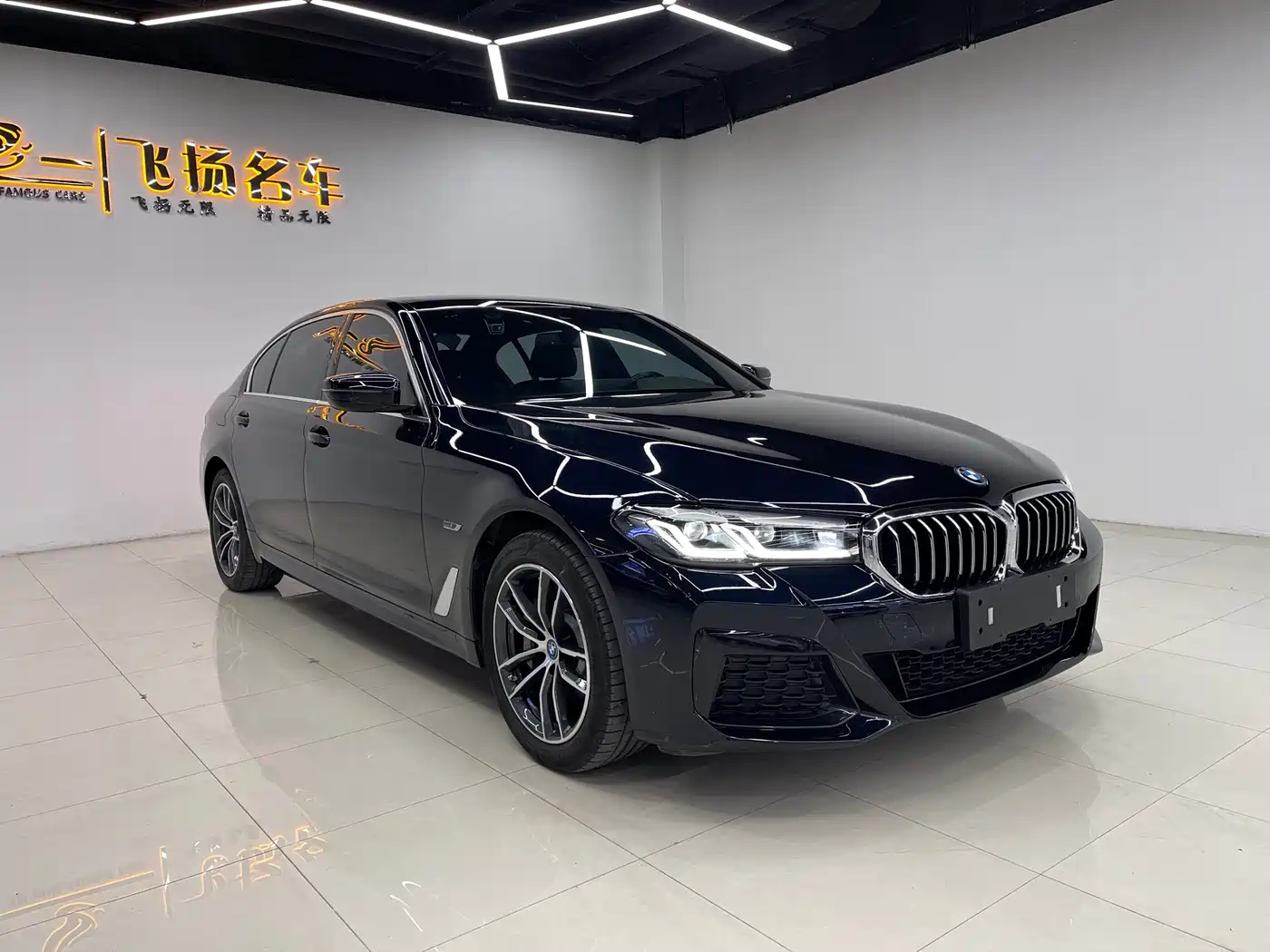 BMW 5 Series New Energy 2022 535Le M Sport Package фото 3