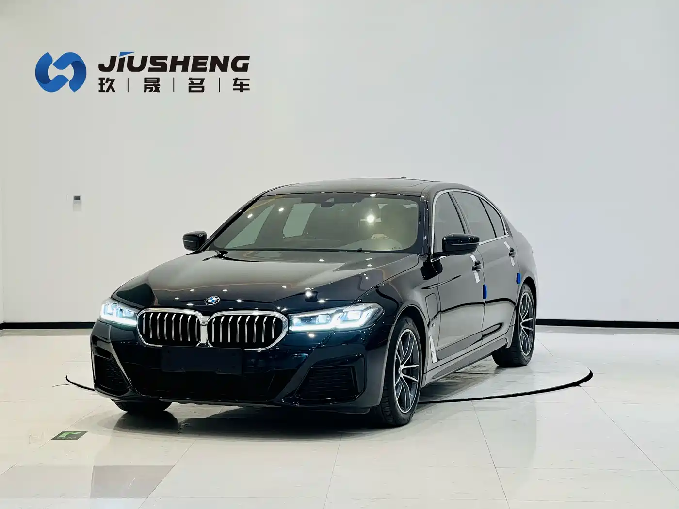 BMW 5 SERIES NEW ENERGY
