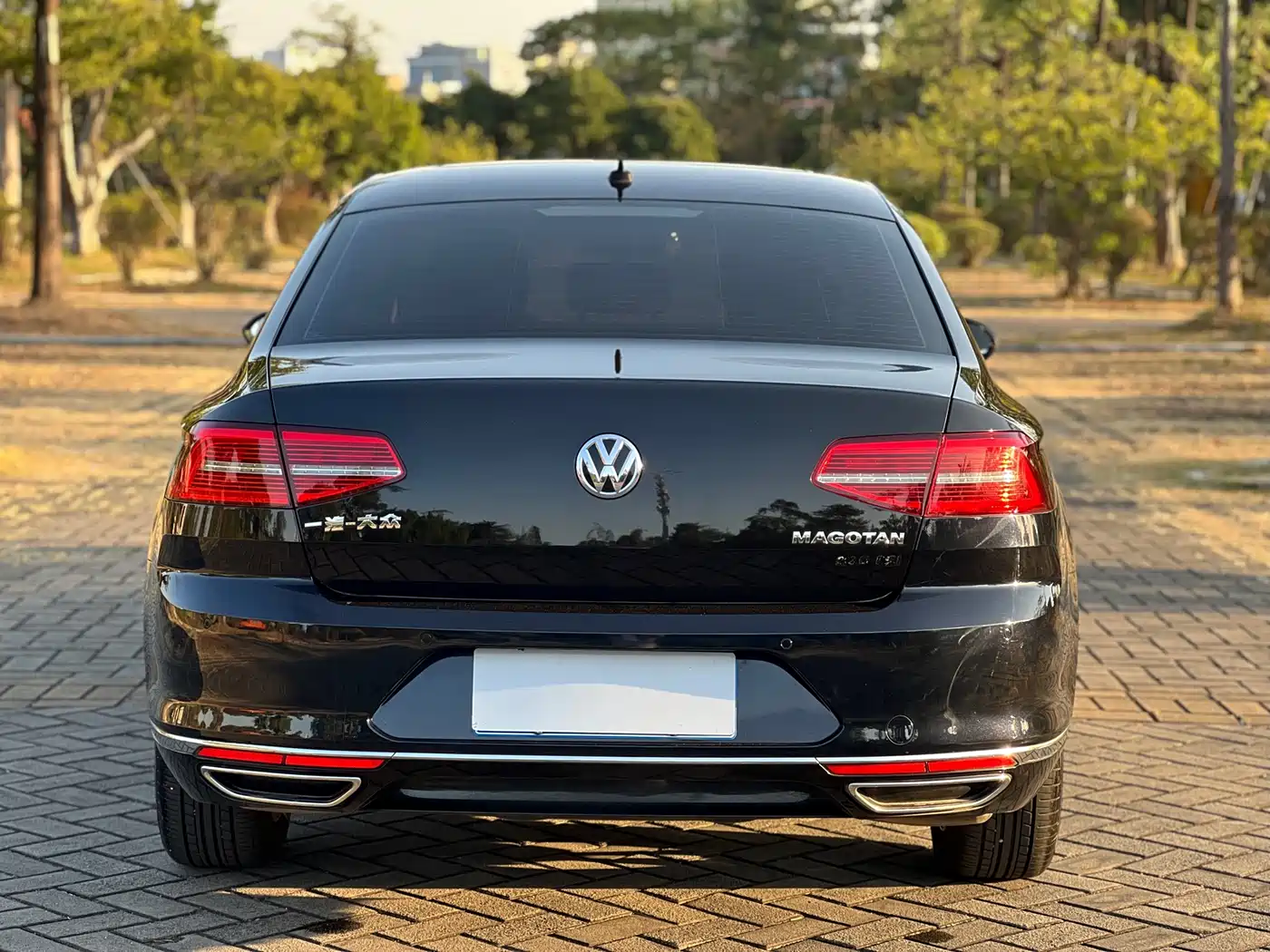 Volkswagen Magotan 2019 330TSI DSG Luxury Class China VI фото 5