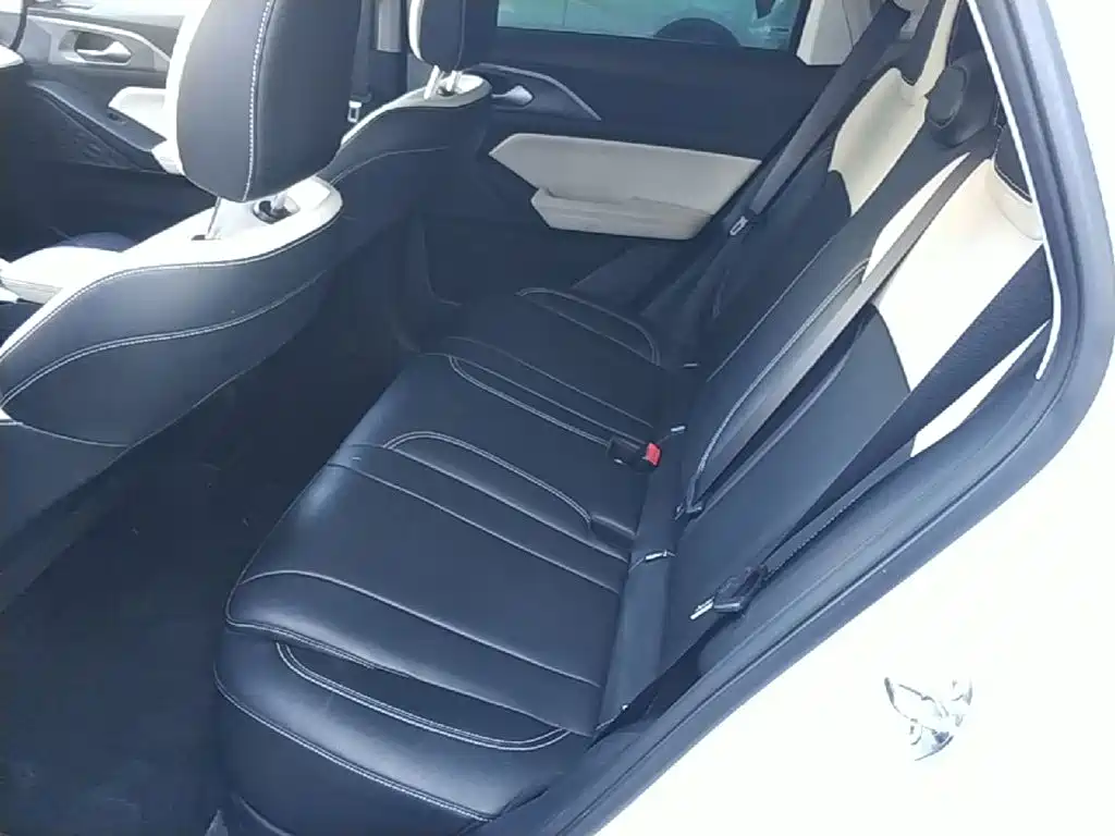 Geely Geometry E Firefly 2025 2024 Model 401km Fluorescent