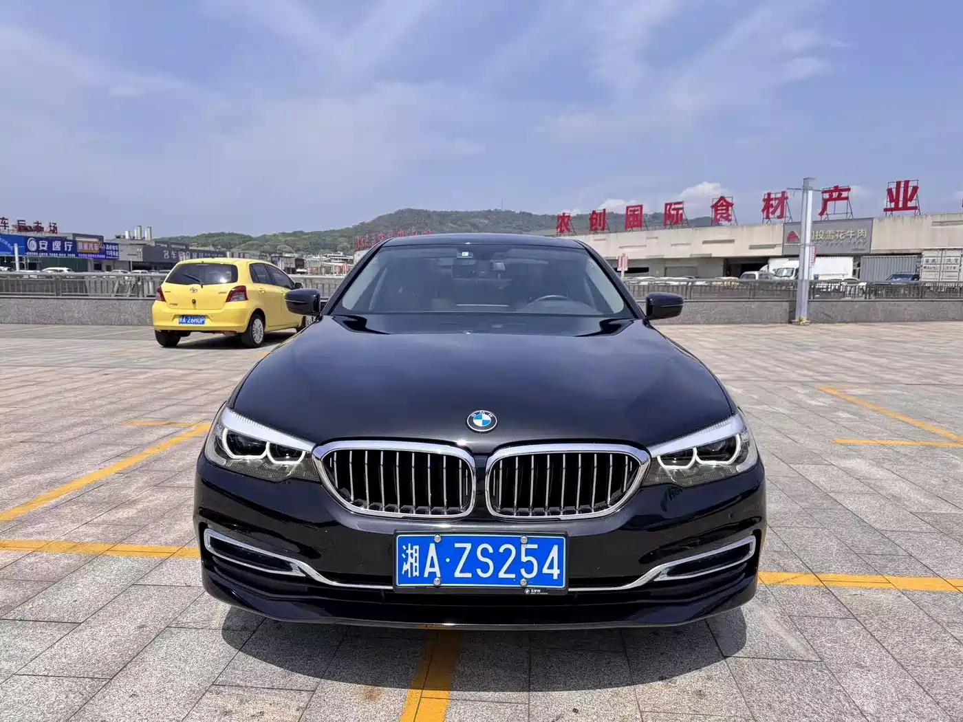 BMW 5 Series 2019 530Li Leading Luxury Package фото 2