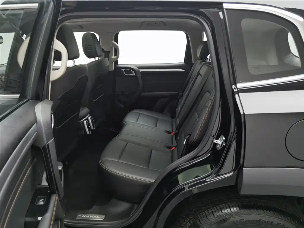 HAVAL BIG DOG