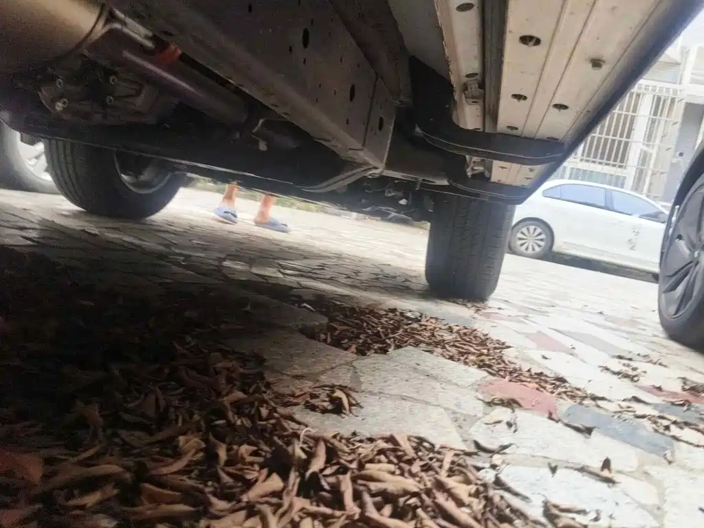 Фото 9 - BAIC ORV Beijing Offroad BJ40