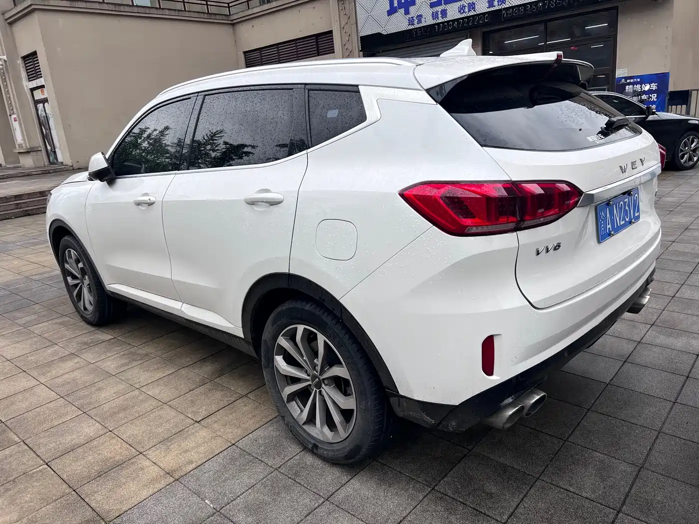 WEI PAI WEI BRAND VV6