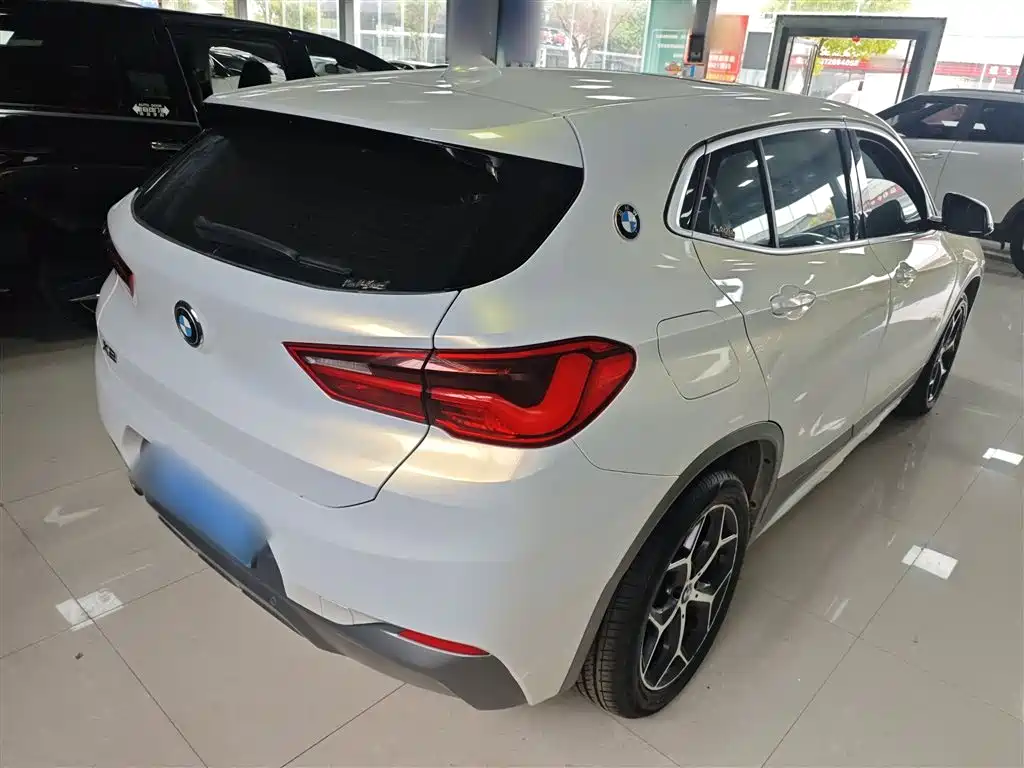 BMW X2 (Import) 2019 sDrive20i M Off-Road Package China VI фото 5