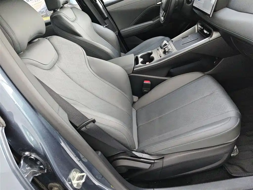 BYD Qin PLUS 2025 EV Smart Drive Edition 420KM Leading Type фото 25