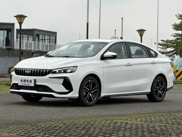 GEELY AUTOMOBILE BINRUI