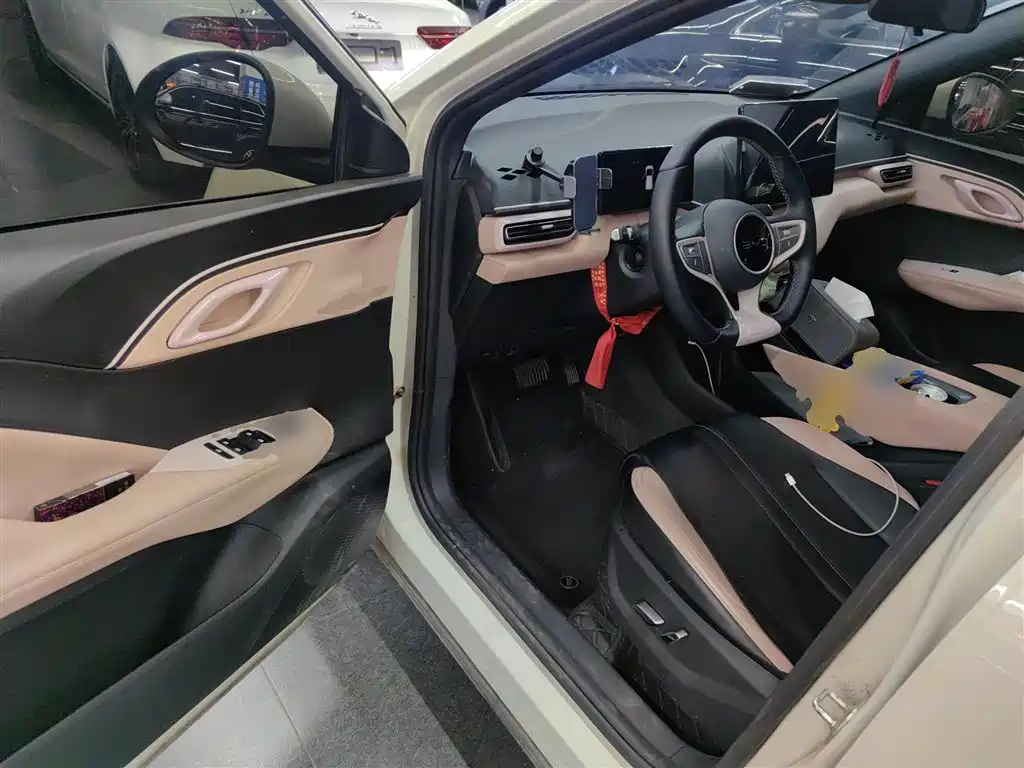 BYD Seagull 2025 Smart Drive Edition 305km Freedom Version фото 16