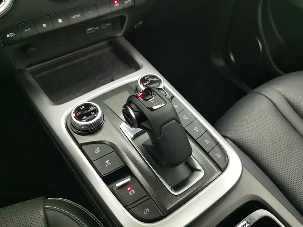 Tank 300 2023 Off-Road Edition 2.0T Conqueror фото 13