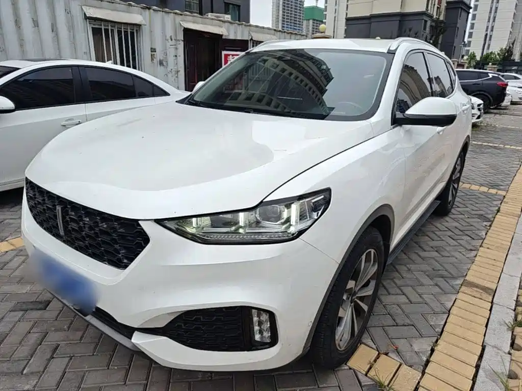 WEY VV6 2019 2018 2.0T 2WD Flagship China V