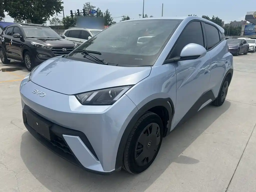 BYD Seagull 2024 Glory Edition 305km Vitality Edition