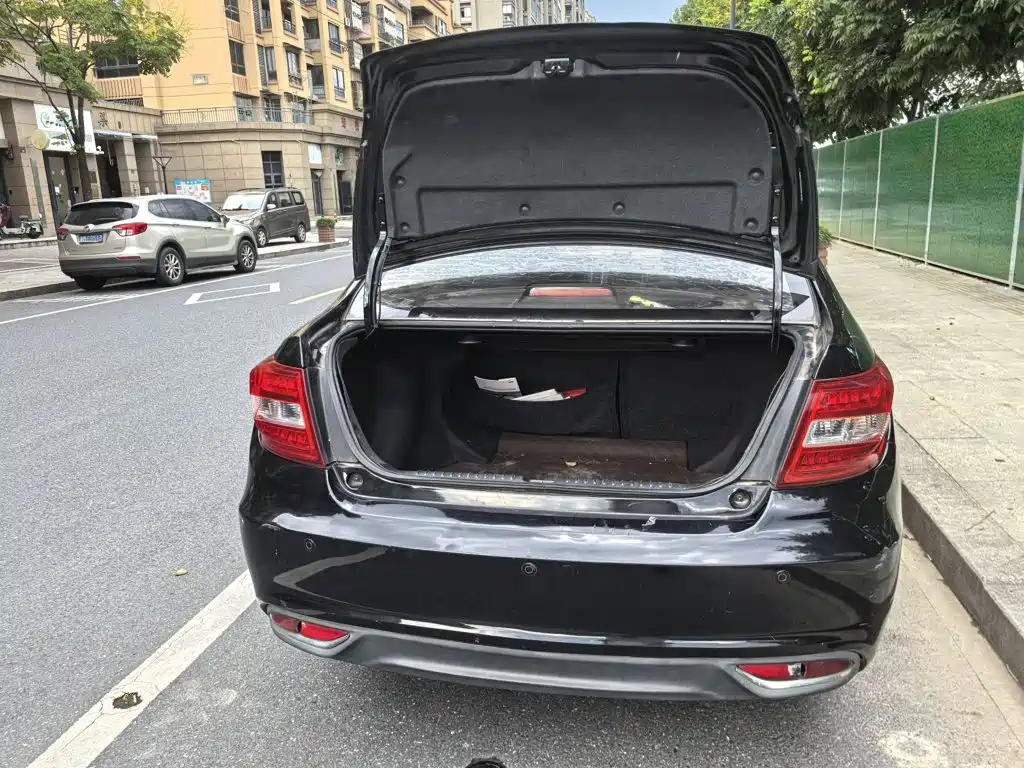 Фото 8 - Geely Vision
