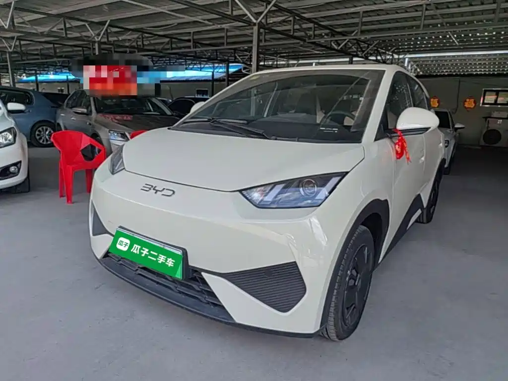 2026 BYD Seagull