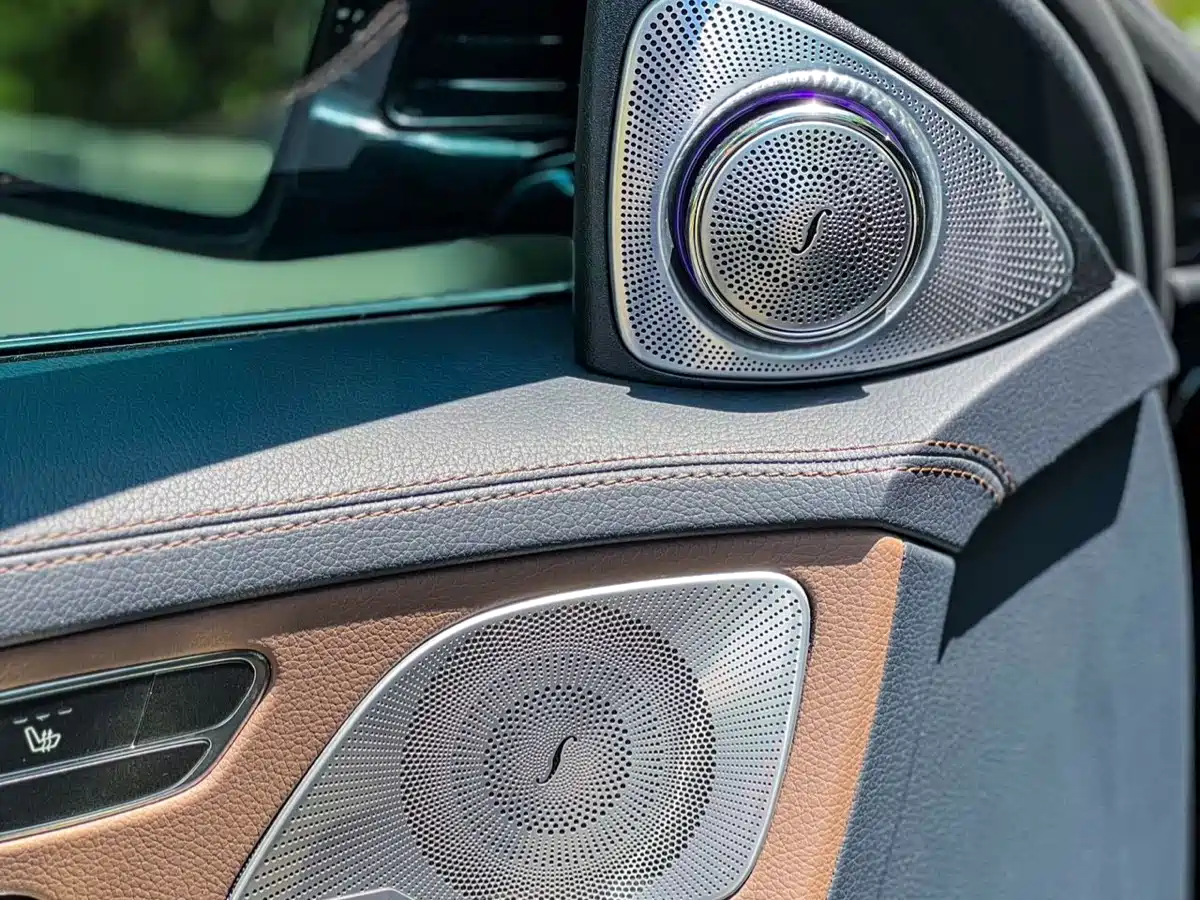 Mercedes-Benz S-Class 2020 S 350 L Business Edition Collector's Version фото 25