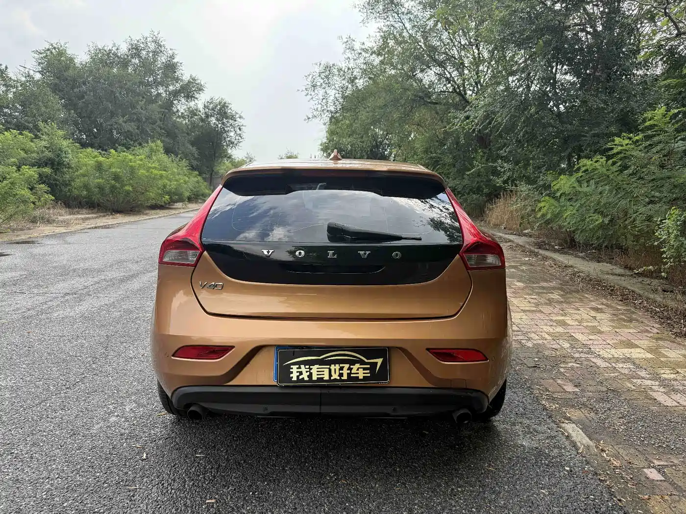 Volvo V40 2013 2013 2.0T Wisdom Edition
