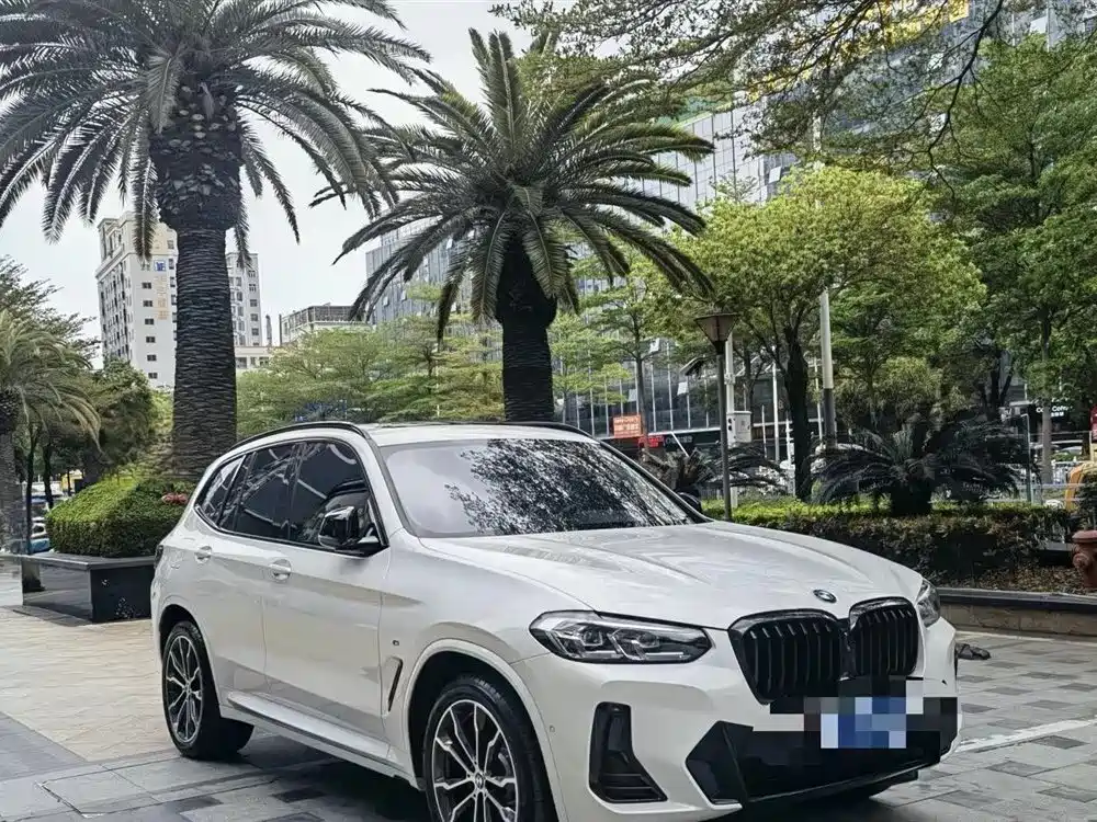 BMW X3 2022 Facelift xDrive30i Leading M Shadow Edition фото 3