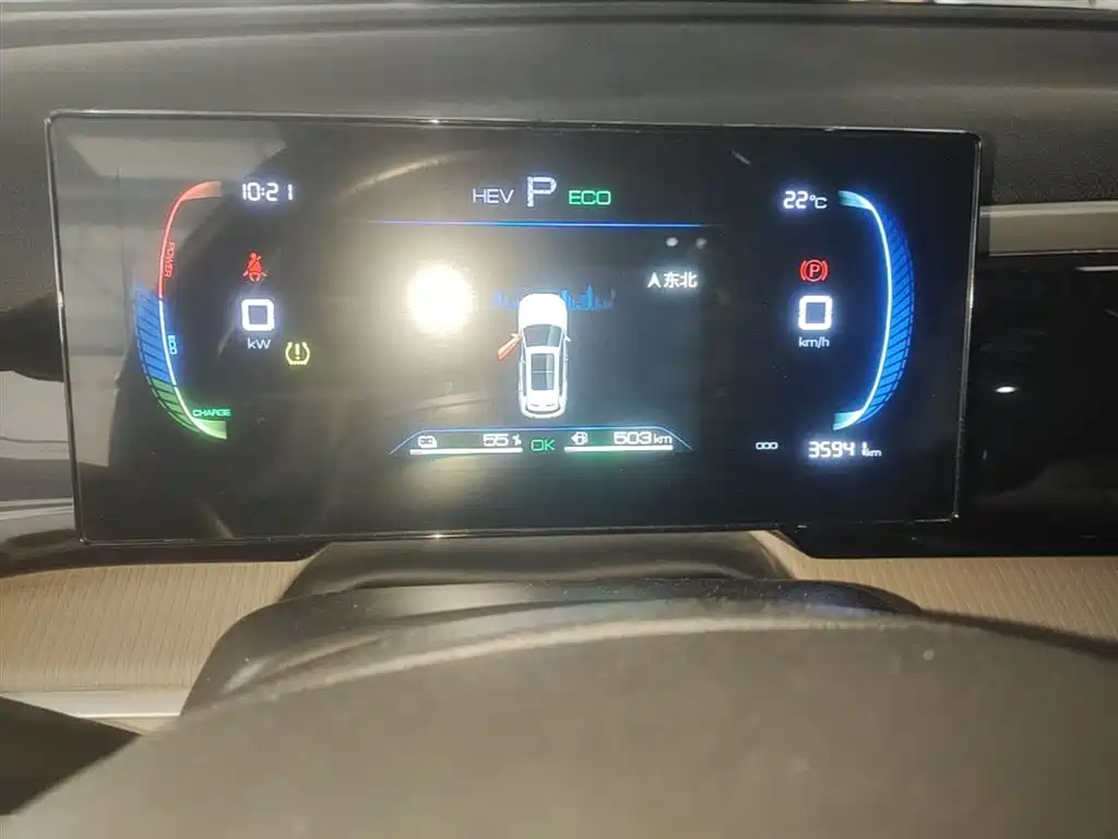 BYD Song Pro New Energy 2024 Glory Edition DM-i 71KM Pilot фото 12