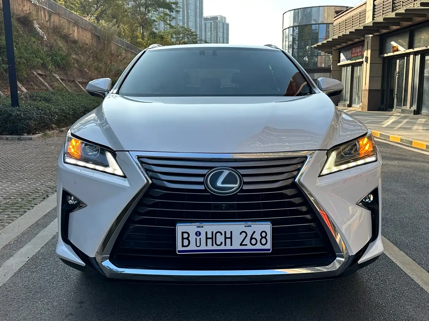 Lexus RX 2016 300 2WD Elite Edition (China V) фото 2