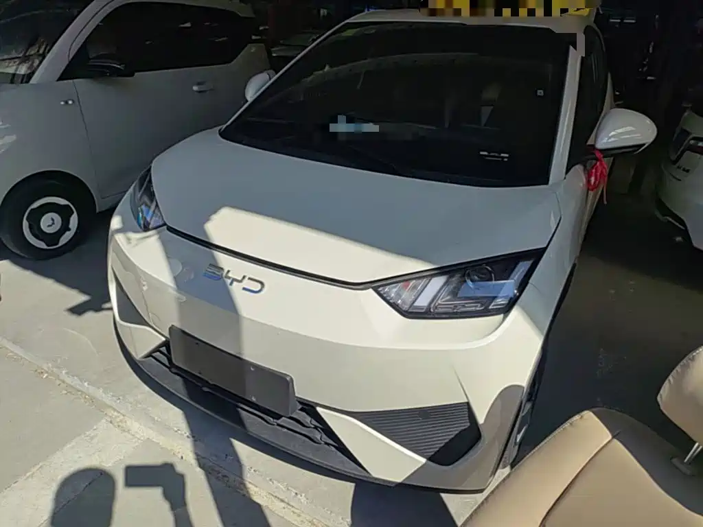 BYD Seagull 2026 2025 Smart Drive Edition 305km Vitality Version