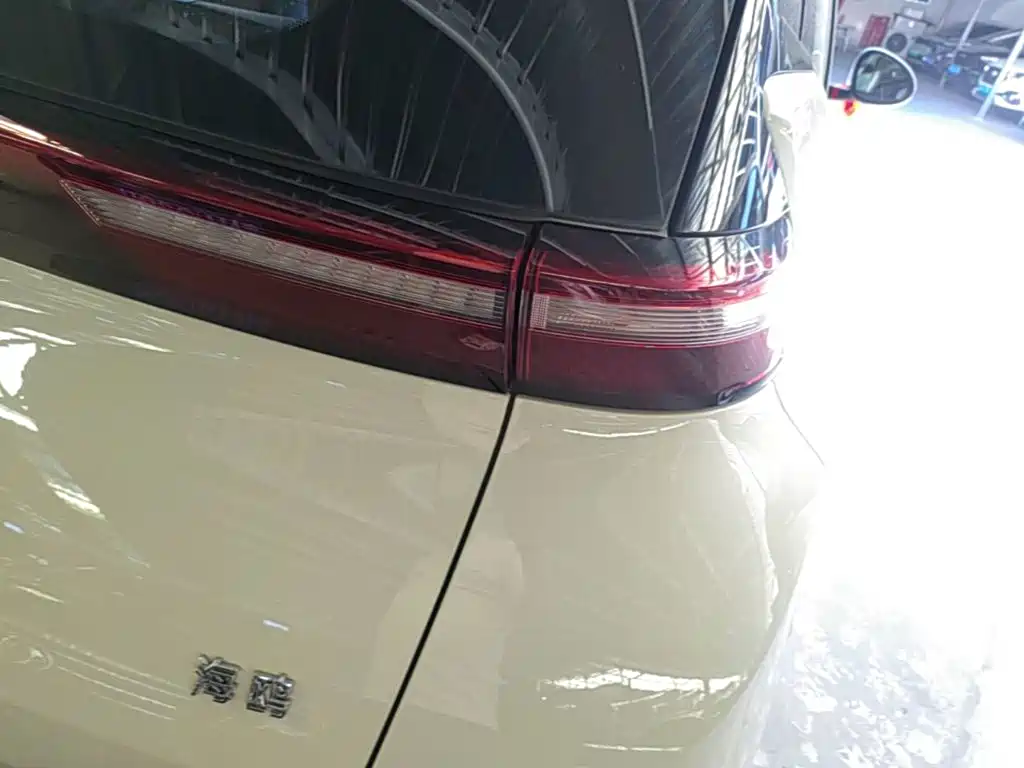 BYD Seagull 2026 2025 Smart Drive Edition 305km Vitality Version