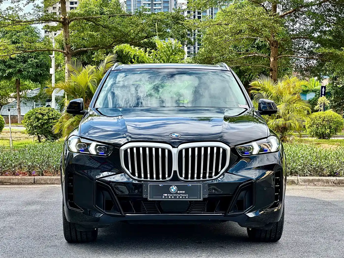 BMW X5 (Import) 2014 xDrive35i Elegance фото 2