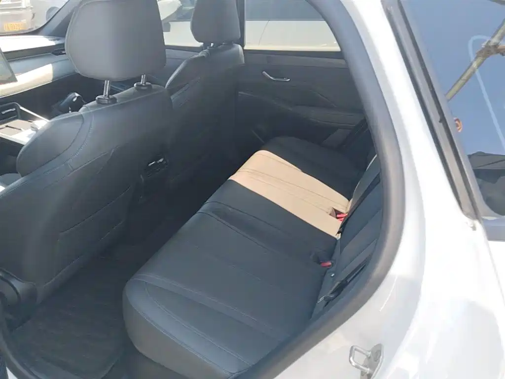 BYD Qin PLUS 2025 DM-i Smart Drive 55KM Leader фото 17