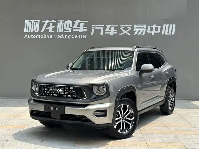 HAVAL BIG DOG PLUS 2024