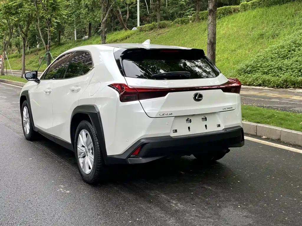 Lexus UX 2024 2022 260h Fun Edition