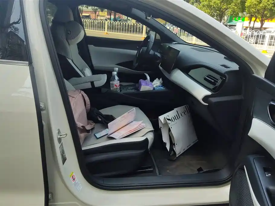 BYD Seal 06 New Energy 2024 DM-i 120KM Honor фото 8