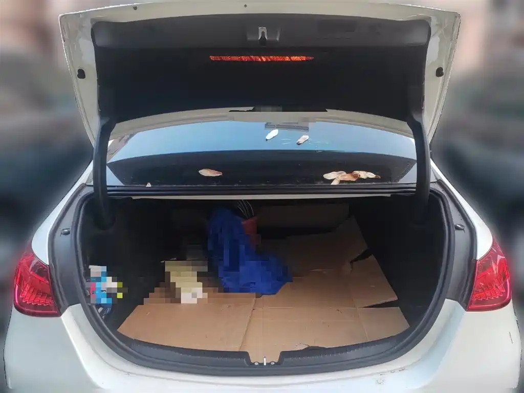 Mercedes-Benz C-Class 2023 C 200 L Sport фото 15