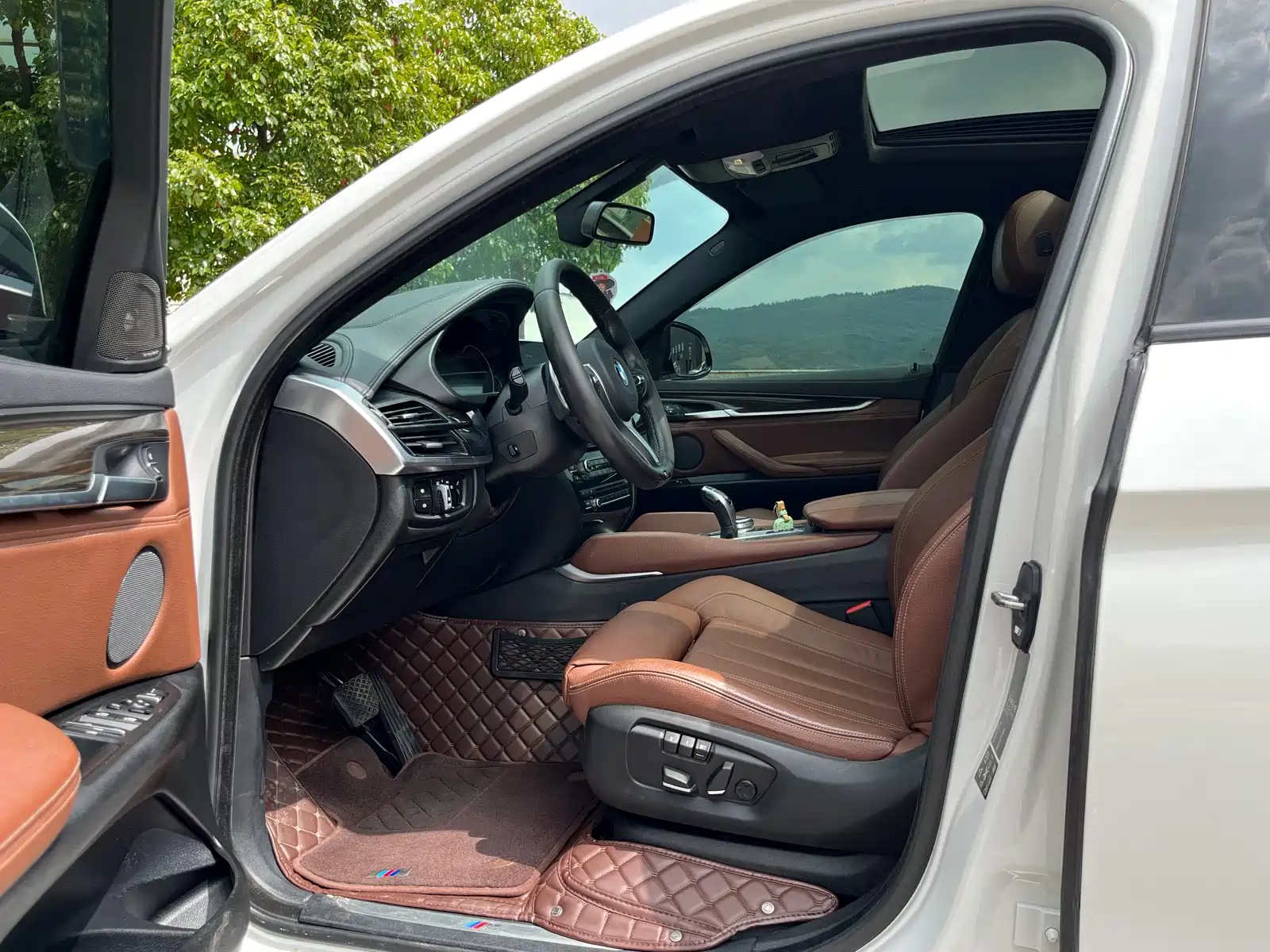 Photo 4 - BMW X6