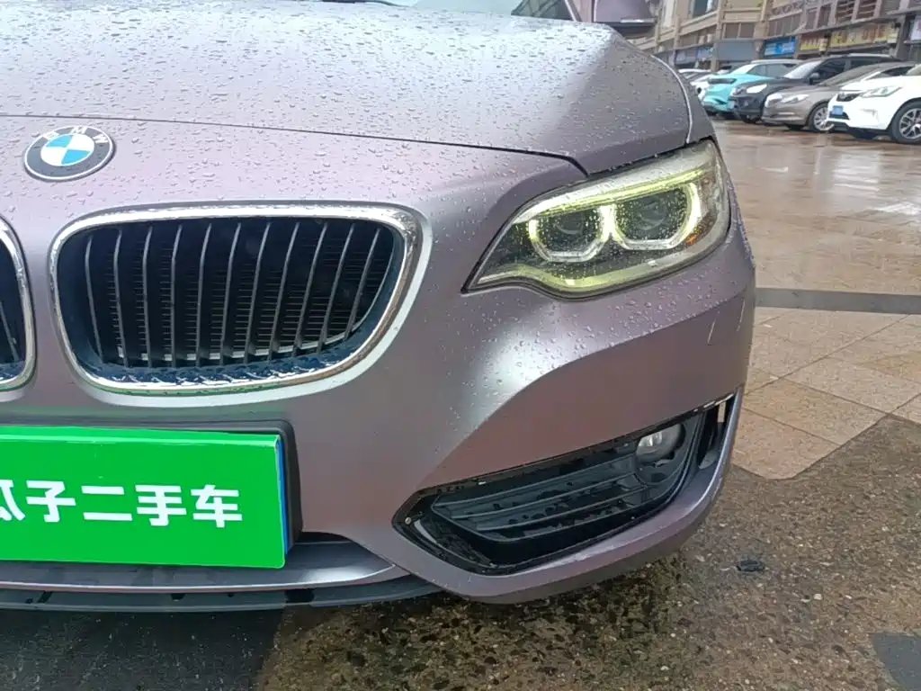 Photo 24 - BMW 2 Series (Import)