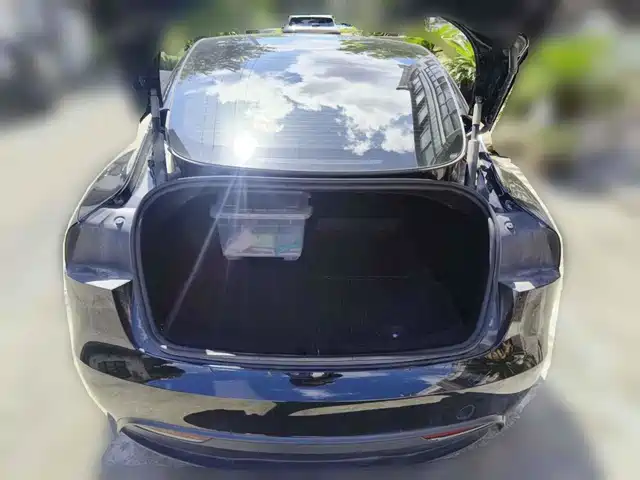 Tesla Model 3 2023 Rear-Wheel Drive — фото 5