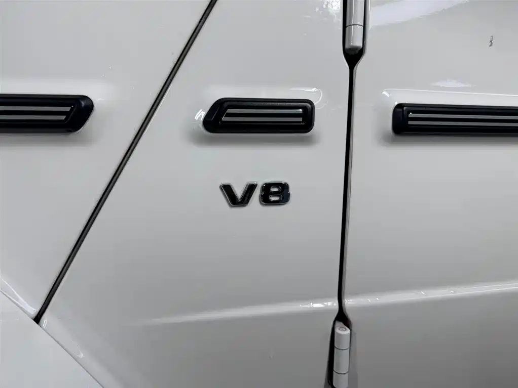 Mercedes-Benz G-Class 2020 G 500 фото 12