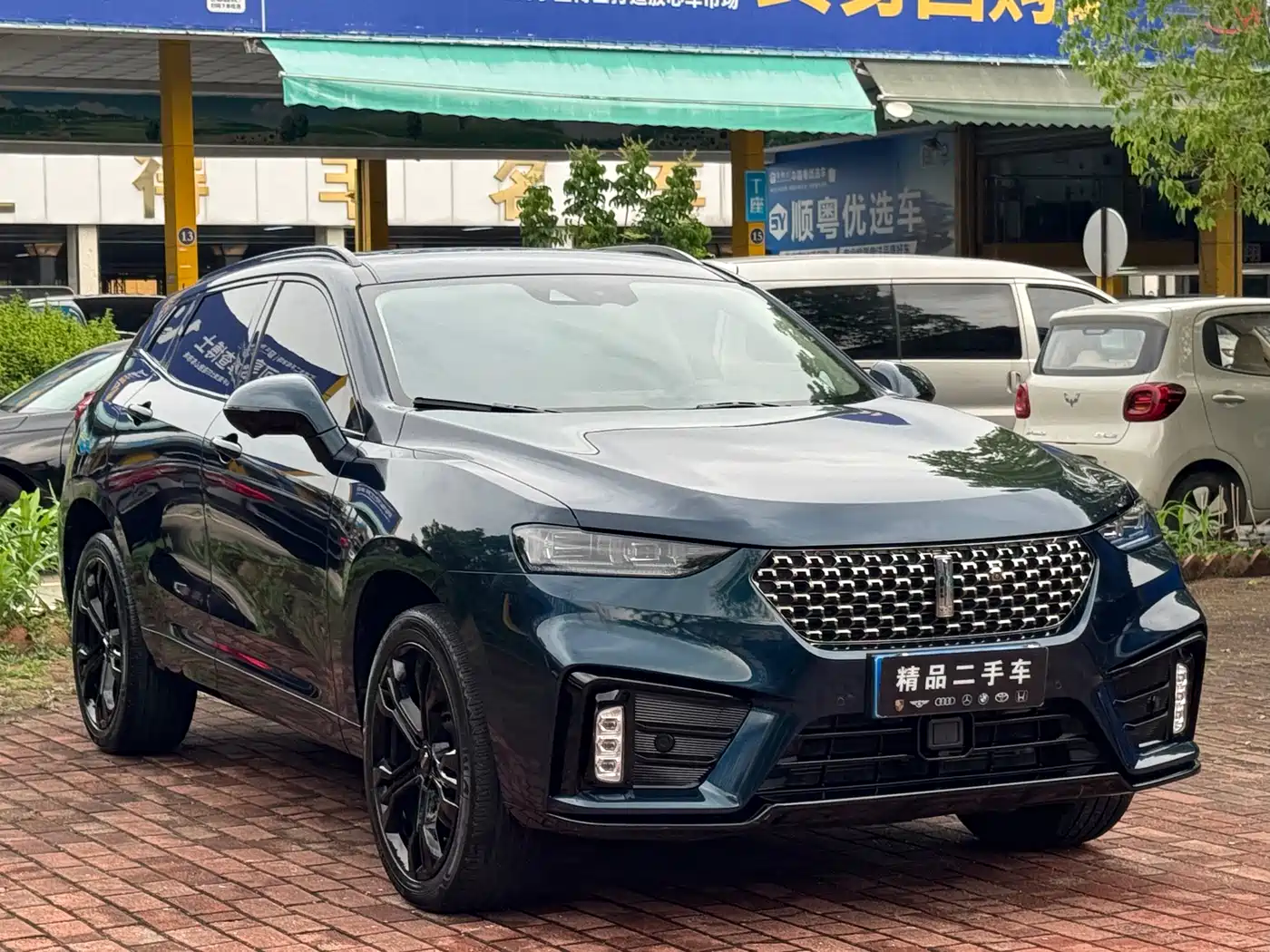 WEI PAI WEI BRAND VV7