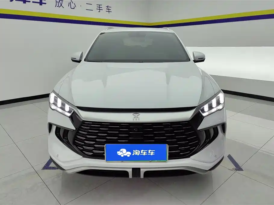 BYD Song Pro New Energy 2024 Glory Edition DM-i 71KM Pilot фото 2