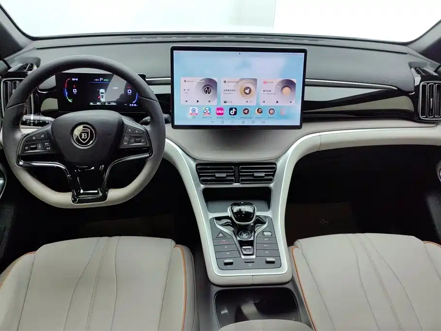 BYD Song Pro New Energy 2024 Glory Edition DM-i 71KM Pilot фото 12