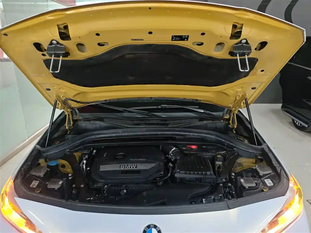 BMW X2 (Import) 2019 sDrive20i M Off-Road Package China VI фото 16