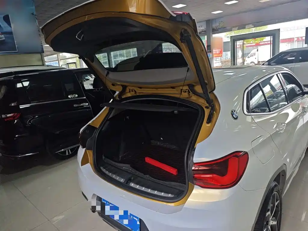 BMW X2 (Import) 2019 sDrive20i M Off-Road Package China VI фото 15