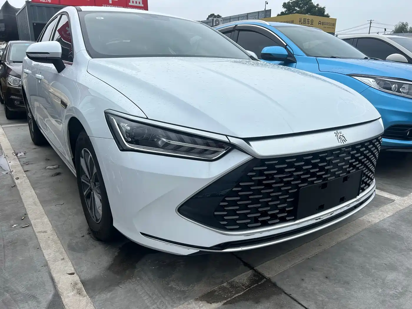 BYD Qin PLUS 2024 Glory Edition DM-i 55KM Leading фото 3