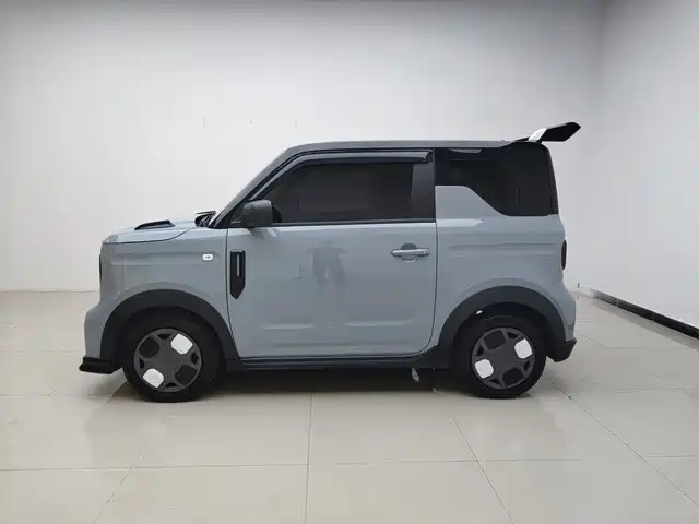 Geely Galaxy Panda 2025 Model Year 210km Panda Kart фото 2