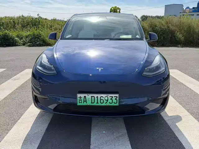 Tesla Model Y Задний привод