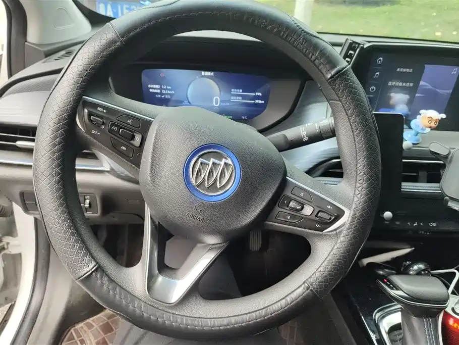 BUICK SLIGHTLY BLUE 6