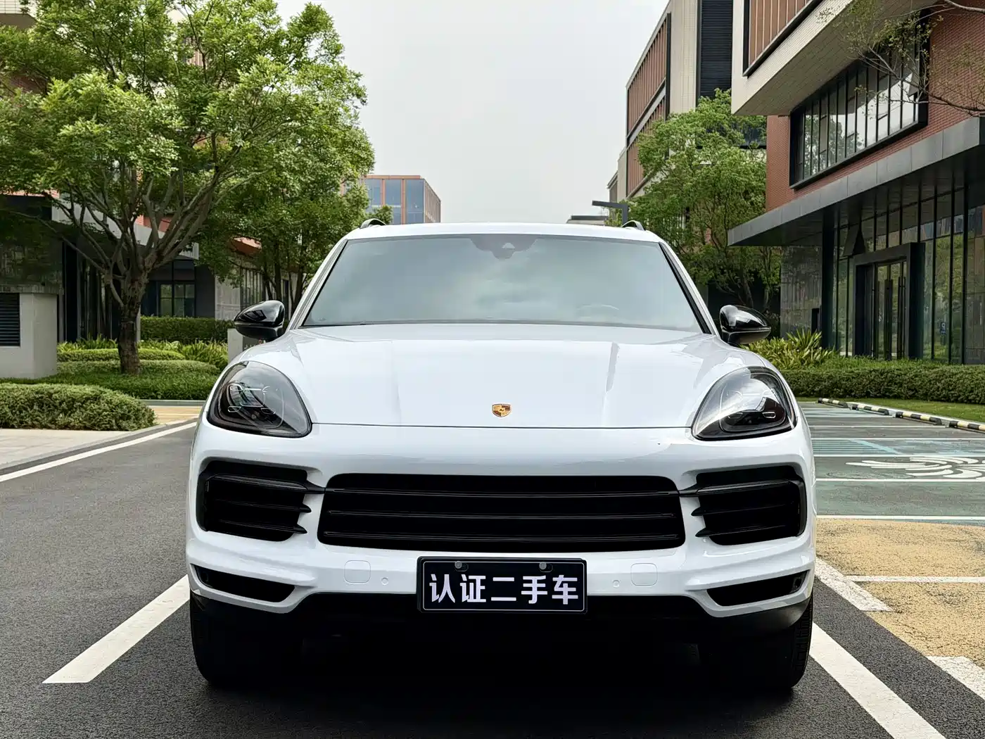 Porsche Cayenne 2019 Cayenne 3.0T фото 2