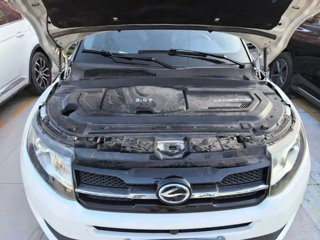 Landwind X7 2018 2016 2.0T Panorama Luxury